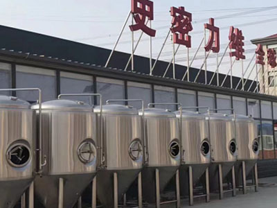 遂宁精酿啤酒设备厂—如何判断精酿啤酒设备的密封件需要更换？